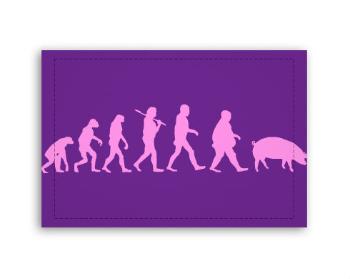 Fotoobraz 60x40 cm malý Evolution Pig