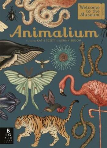 Animalium - Jenny Broomová