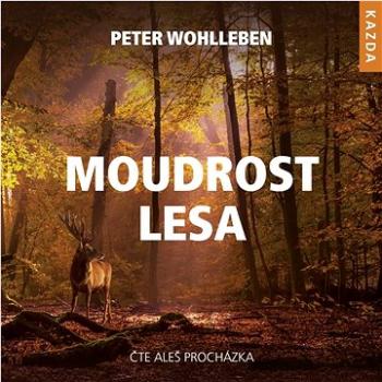 Moudrost lesa