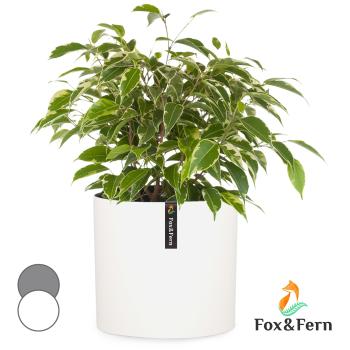 Fox & Fern Venlo, květináč, Polystone, interiér a exteriér, 3 velikosti