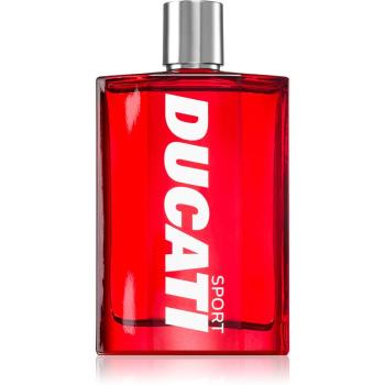 Ducati Sport toaletní voda pro muže 100 ml