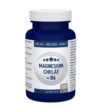 Clinical Magnesium chelát + B6 100 kapslí