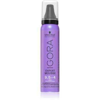 Schwarzkopf Professional IGORA Expert Mousse barvicí pěna na vlasy odstín 9,5-4 Beige 100 ml