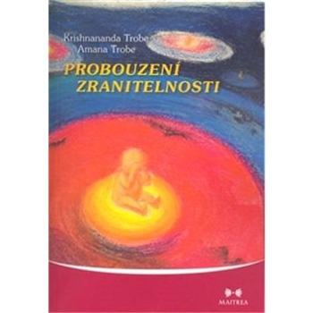 Probouzení zranitelnosti (978-80-87249-01-7)