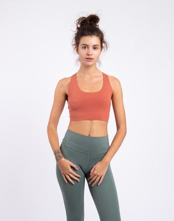 Patagonia W's Live Simply Bra Burl Red XS