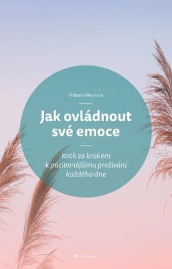 Jak ovládnout své emoce - Meurisse Thibaut - e-kniha