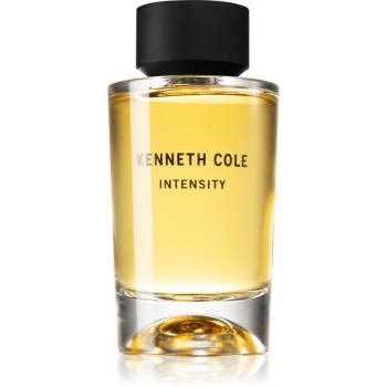 Kenneth Cole Intensity toaletní voda unisex 100 ml