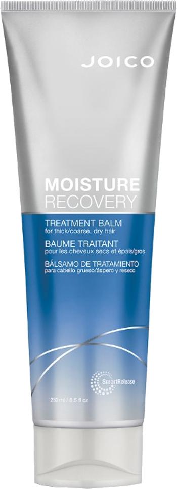 Joico Intenzivní balzám na suché vlasy Moisture Recovery (Treatment Balm) 250 ml