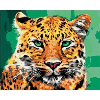 Diamondi - Diamantové malování - LEOPARD SE ZELENÝMA OČIMA, 40x50 cm, Vypnuté plátno na rám (606576B)