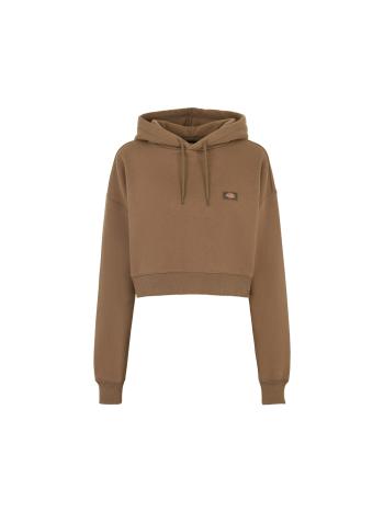 DICKIES Tréning póló 'Oakport'  barna