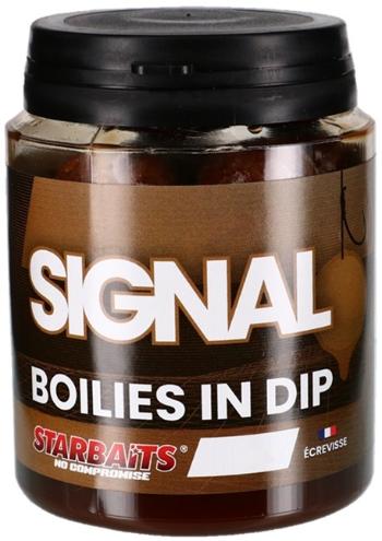 Starbaits boilies in dip concept signal 150 g - 20 mm