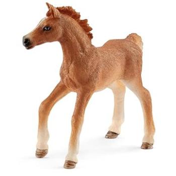 Schleich Hříbě s přikrývkou 42361 (4059433573694)