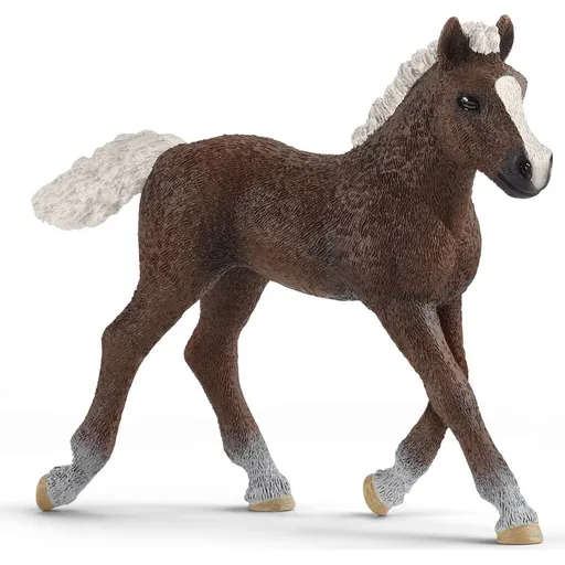 Schleich 13899 Zvířátko hříbě černé lesní
