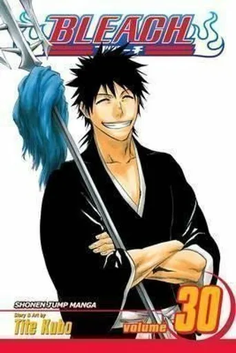 Bleach, Vol. 30 - Tite Kubo