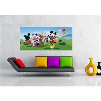 AG Design 1 dílná fototapeta MICKEY & FRIENDS FTDNH 5343, 202 x 90 cm vlies (FTDNH5343)