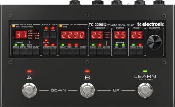 TC Electronic 2290 P Dynamic Digital Delay Kytarový efekt