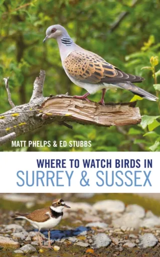 Where to Watch Birds in Surrey and Sussex - Ed Stubbs, Matthew Phelps