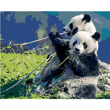 Diamondi - Diamantové malování - PANDA A BAMBUS, 40x50 cm, bez rámu a bez vypnutí plátna (606972A)