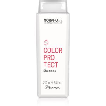 Framesi Morphosis Color Protect šampon pro normální až jemné vlasy pro ochranu barvy 250 ml