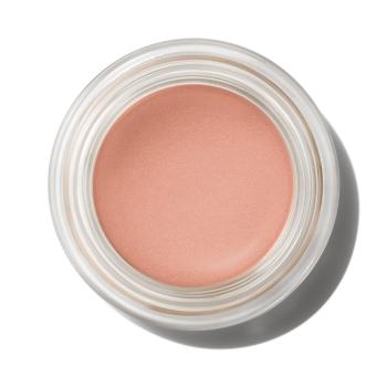 MAC Cosmetics Krémové oční stíny (Pro Longwear Paint Pot) 5 g Layin' Low