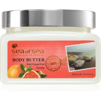 Sea of Spa Essential Dead Sea Treatment tělové máslo s minerály z Mrtvého moře Red Grapefruid 350 ml