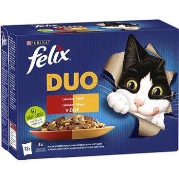 Felix Fantastic DUO kuře a ledvinky, hovězí a drůbeží, krůta a játra, jehněčí a telecí 12 x 85 g (7613039758083)