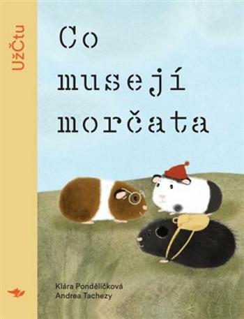 Co musejí morčata - Klára Pondělíčková