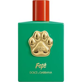 Dolce&Gabbana Fefé fragrance mist for dogs parfémovaná mlha unisex 100 ml