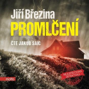 Promlčení - Jiří Březina - audiokniha