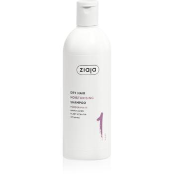 Ziaja Plant Essentials Pomegranate hydratační šampon pro suché vlasy 400 ml