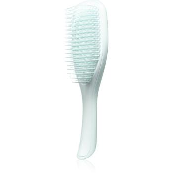 Tangle Teezer The Ultimate Detangler Fine & Fragile plochý kartáč pro křehké vlasy Ice Blue 1 ks