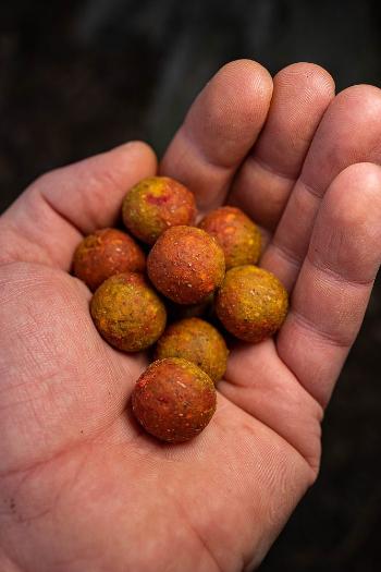 Chytil Master Carp Boilies 16 mm 250 g - Scopex