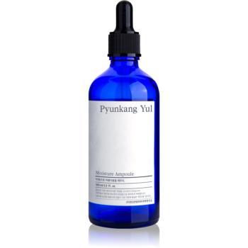 Pyunkang Yul Moisture Ampoule esence s hydratačním účinkem 100 ml