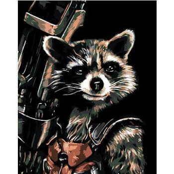 Diamondi - Diamantové malování - ROCKET RACOON, 40x50 cm, Vypnuté plátno na rám (602140B)