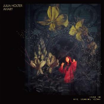 HOLTER, JULIA - AVIARY, Vinyl