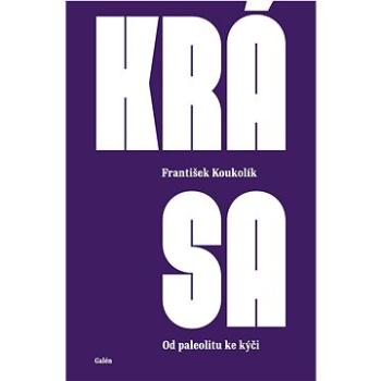 Krása: Od paleolitu ke kýči (978-80-7492-640-2)