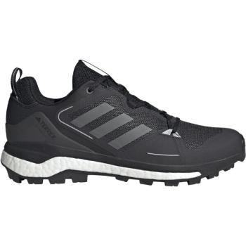 adidas TERREX SKYCHASER 2 Pánská treková obuv, černá, velikost 42