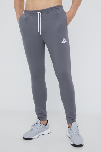 Tepláky adidas Performance H57531 pánské, šedá barva, s aplikací