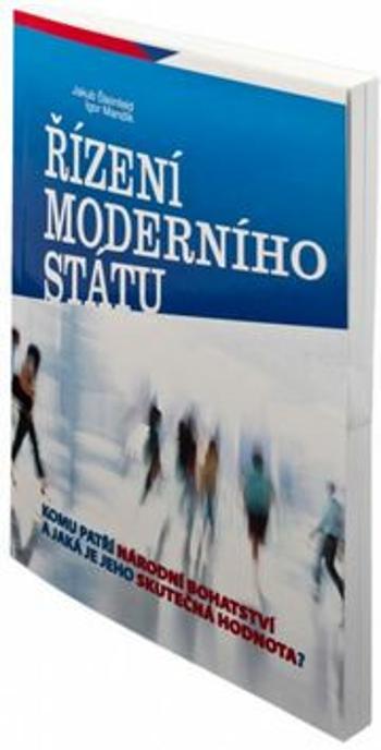 Řízení moderního státu - Igor Mandík, Šteinfeld Jakub