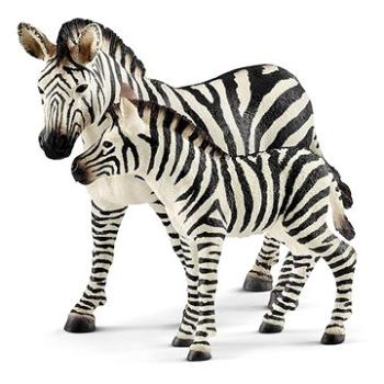 Schleich Mládě zebry 14811 (4055744020797)