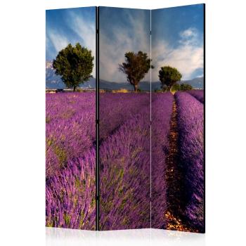 Paraván Lavender field in Provence, France Dekorhome 135x172 cm (3-dílný)