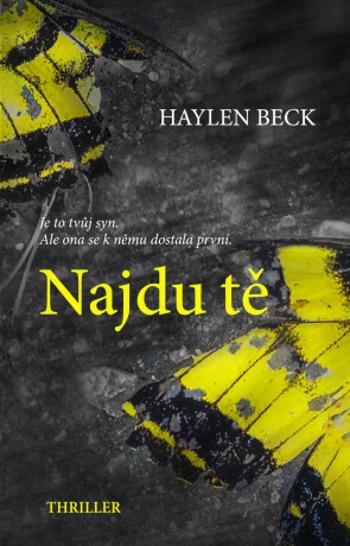 Najdu tě (Defekt) - Haylen Beck