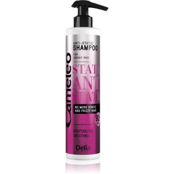 Delia Cosmetics Cameleo Anti Static vyhlazující šampon 250 ml