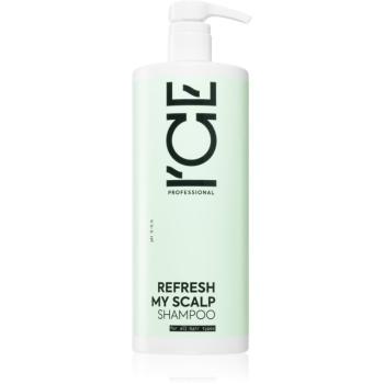 Natura Siberica ICE Professional Refresh My Scalp čisticí detoxikační šampon 1000 ml