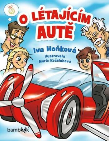 O létajícím autě - Iva Hoňková - e-kniha