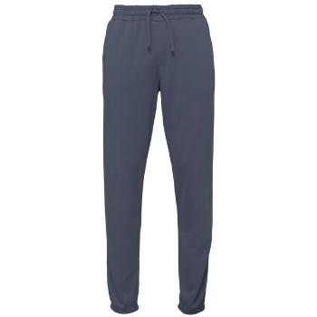 Quiksilver SALT WATER JOGGER Pánské tepláky, tmavě modrá, velikost