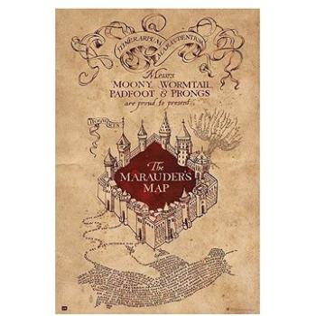 Harry Potter - The Marauders Map  - plakát (8435497204020)