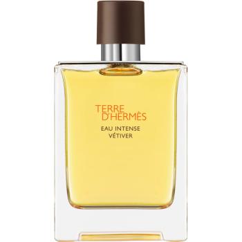 HERMÈS Terre d’Hermès Eau Intense Vétiver parfémovaná voda pro muže 100 ml