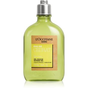 L’Occitane Men Cedrat sprchový gel na tělo a vlasy 250 ml