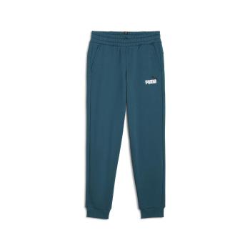 Puma  ESS+ 2 COL LOGO PANTS FL CL  Tepláky/Vrchné oblečenie Zelená